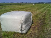 Afbeelding invoegen